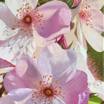 Summer vibe - 60x100cm